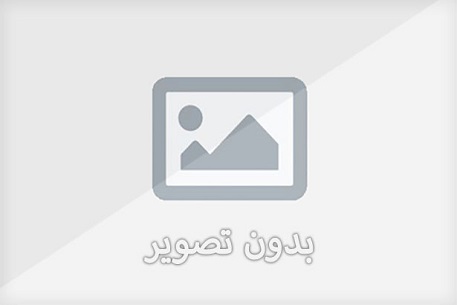 همزن حرفه ایی کاسه داره ویکتور مدل VK4002SM