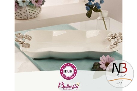 دیس-گود-مستطیل-کوچک-۶۶۲۴۲۵-بی-وی-کی