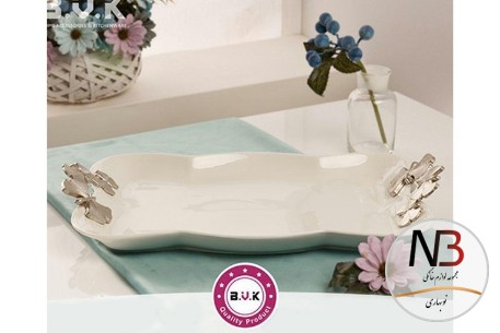 دیس-تخت-مستطیل-کوچک-۶۶۲۵۲۹-بی-وی-کی