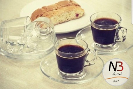 عکس محصول - فنجان-نعلبکی-ولا-کد-97302-پاشا-باغچه