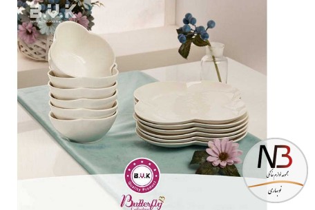 پیش-دستی-607320-بی-وی-کی