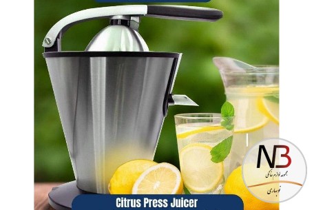 آبمرکبات-گیر-160-وات-نقره-ای-2572-110-عرشیا